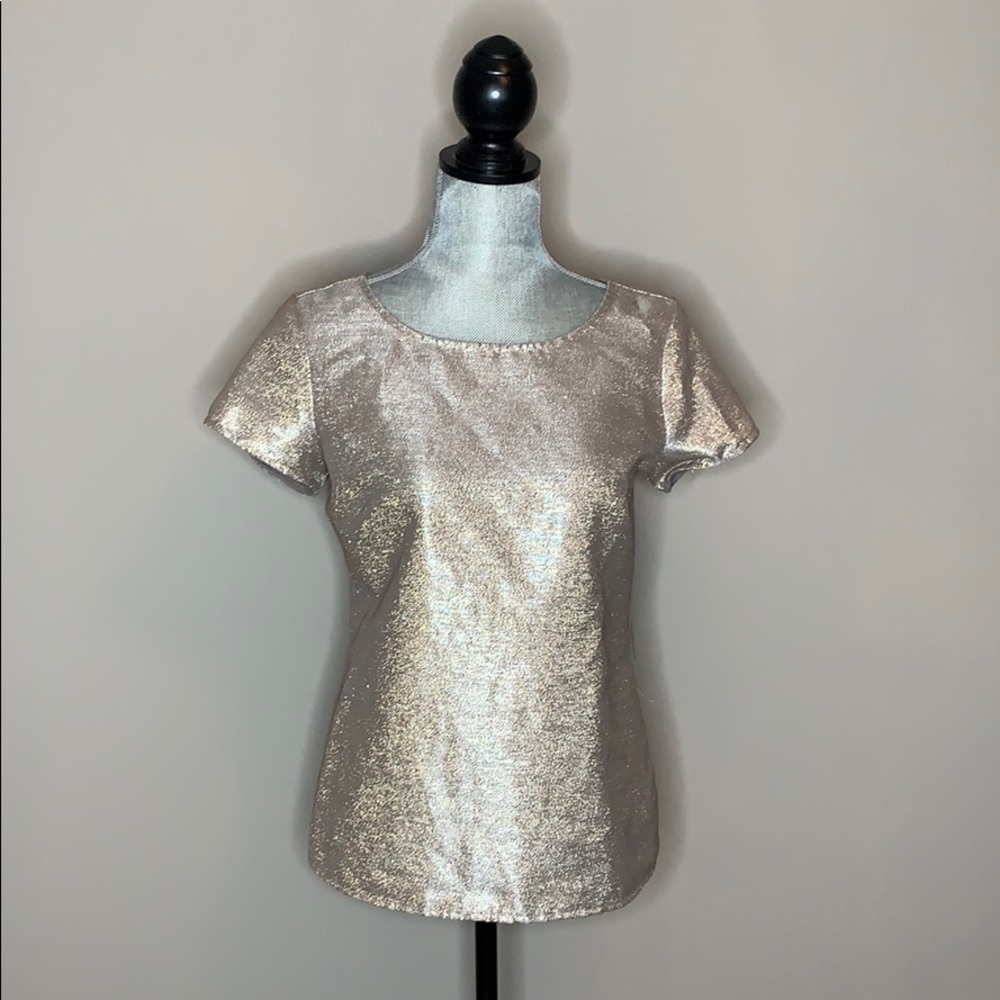 The Limited Shimmer Top